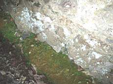 rockfield 1014.JPG